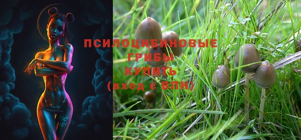 тгк Валуйки
