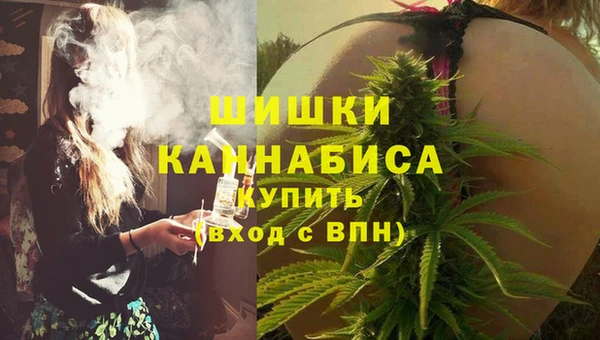 прущие грибы Бутурлиновка
