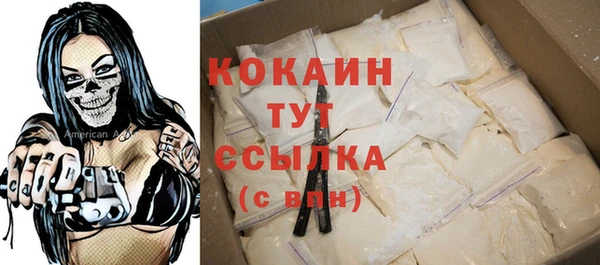 стаф Пестово